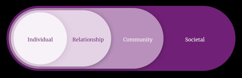 Figure 5: Social-Ecological Model