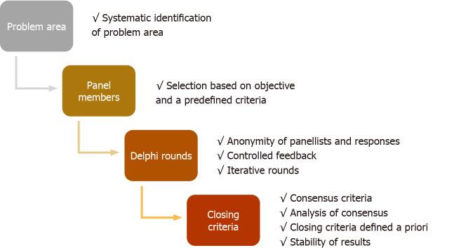 Figure 6: Delphi Method for Consensus Guidelines